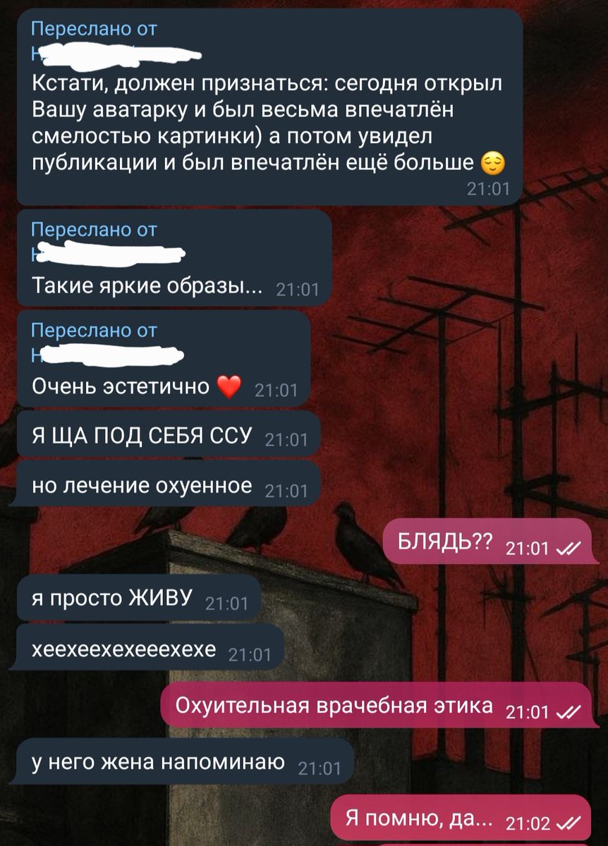 Сиба tweet media
