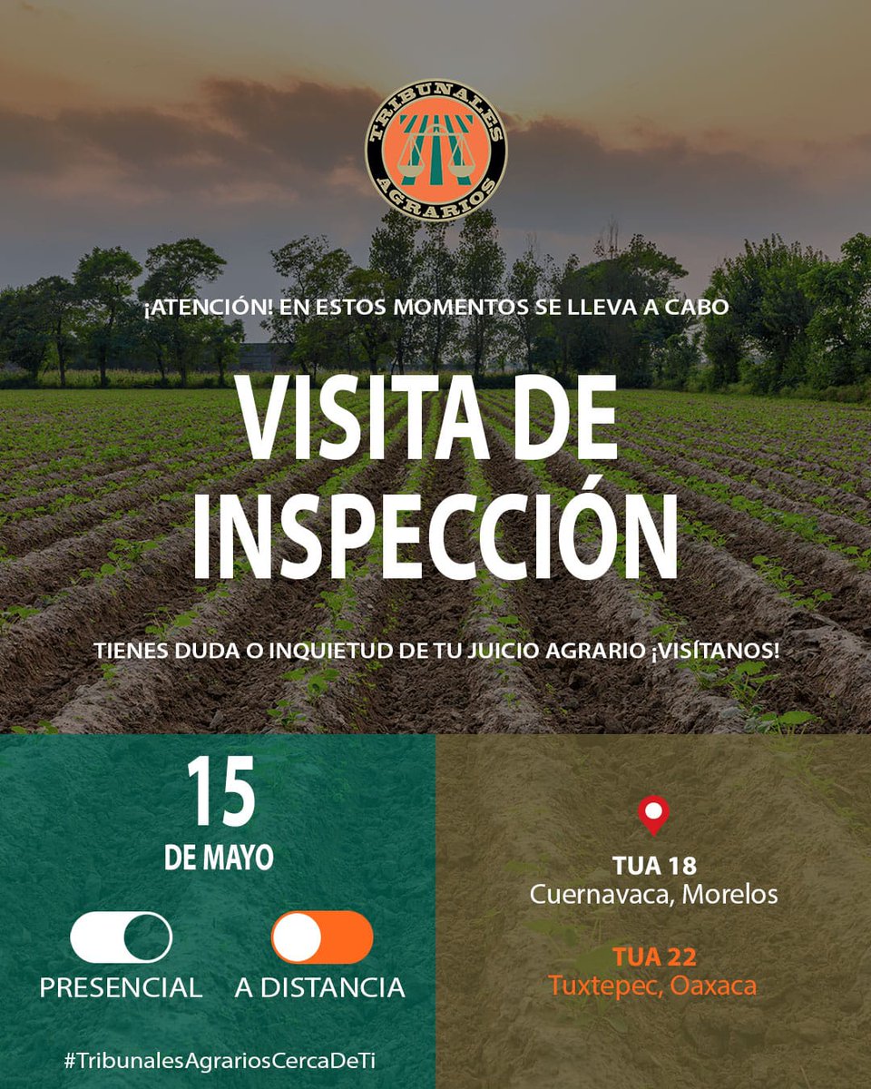 TAgrarios's tweet photo. 🔎Supervisando la #JusticiaAgraria🔍
Esta semana se llevarán a cabo cuatro #VisitasDeInspección en distintos #TUAS:
14 de mayo:
🌱La Mgda. Presidenta Claudia Dinorah Velázquez González visitará el #TUA49 con sede en Cuautla, #Morelos.
🌱El Magdo. Alberto Pérez Gasca llevará a cabo la visita por vía remota al #TUA28 con sede en Hermosillo, #Sonora.
15 de mayo:
🌱La Mgda. Presidenta Claudia Dinorah Velázquez González visitará el #TUA18 con sede en Cuernavaca, #Morelos.
🌱El Mgdo. Guadalupe Espinoza Sauceda realizará la visita por vía remota al #TUA22 con sede en Tuxtepec, #Oaxaca.
Estas acciones contribuyen a garantizar una justicia agraria más pronta, cercana y eficiente.
#TribunalesAgrariosCercaDeTi🌾