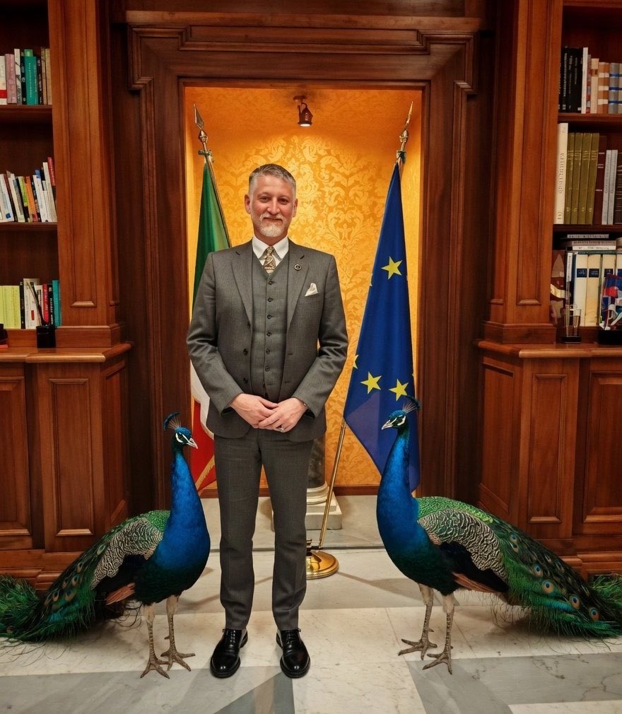 LibertySwapFi's tweet photo. PCOCK is on track to become Italy’s next cultural symbol, and you’re still bearish on the bird? NGMI. 🇮🇹🦚 https://t.co/35qrsLMVT5
