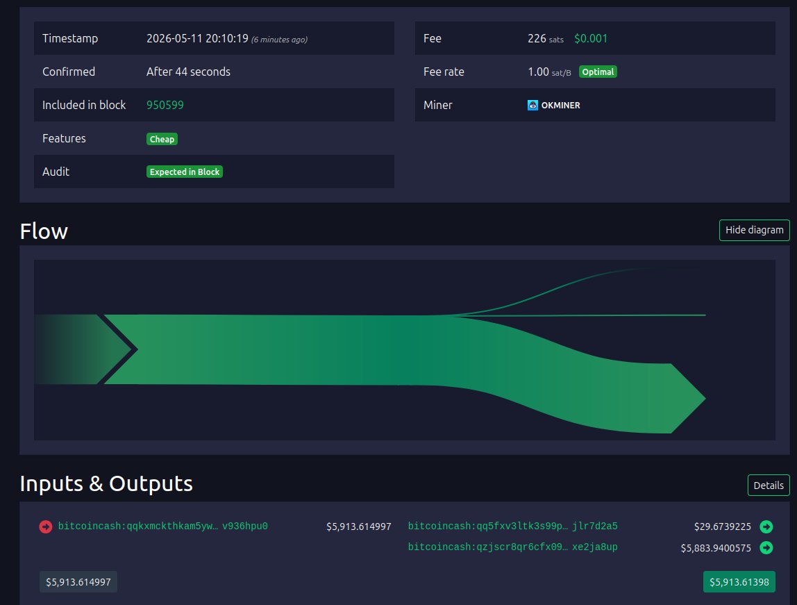Bitcoin Cash Explorer tweet media