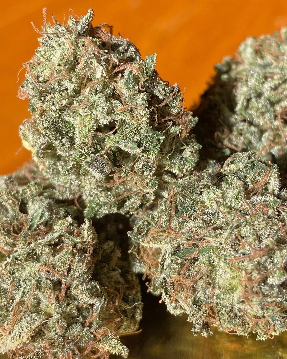 Herb Approach tweet media