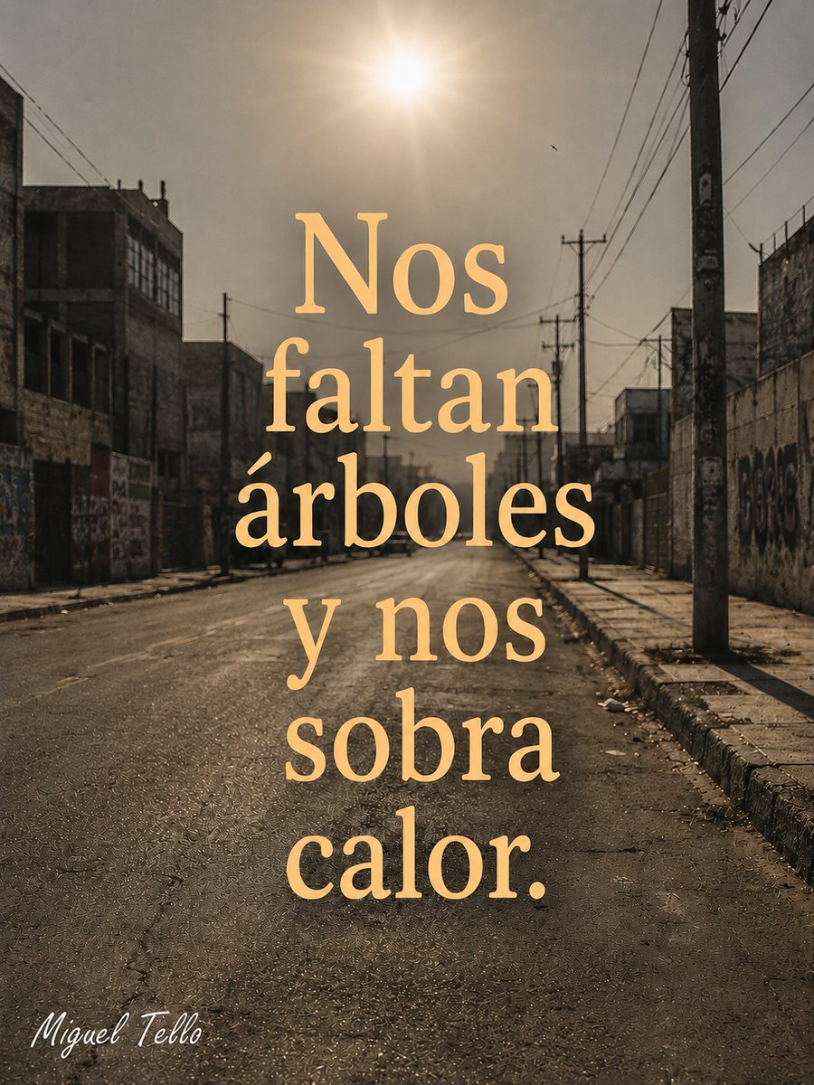Miguel Angel Tello tweet media