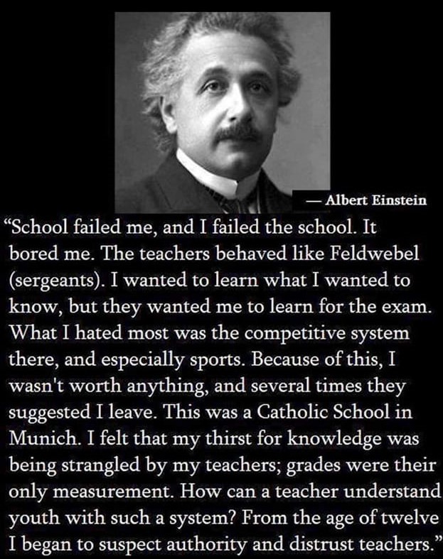 Ned Collie tweet media