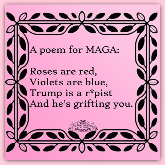 Adam 💙 🇺🇸 tweet media