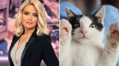 Nimet Özdemir tweet media