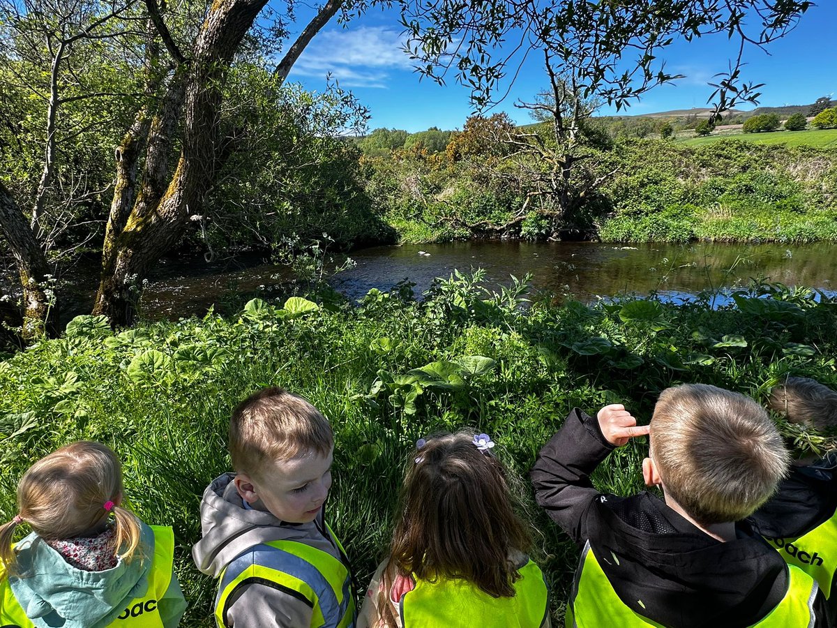 Dailly Primary School and EYC tweet media