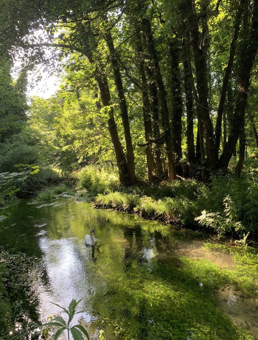 RussellB1ggs's tweet photo. #ChalkStreams @EmmaforWycombe @DefraGovUK  Approximately 220 Rare Chalk streams in England but only 11 have partial protection through SSSI classification🧐@UKLabour if you really care about the environment then everyone should be protected 🙏The River Babingley Norfolk 😍 https://t.co/hZKHImTH2y