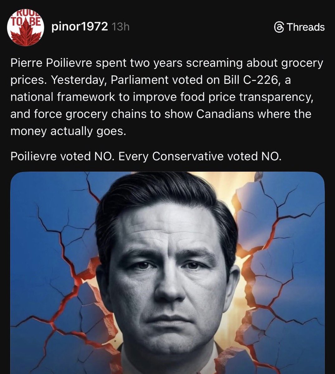 Liberty4Canada✨💗🪽 tweet media