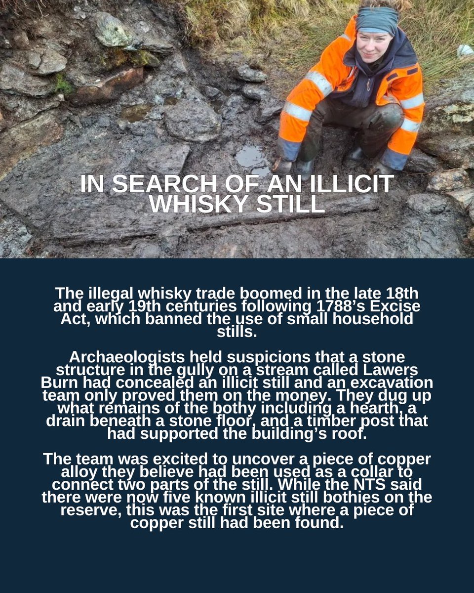 Master of Malt tweet media
