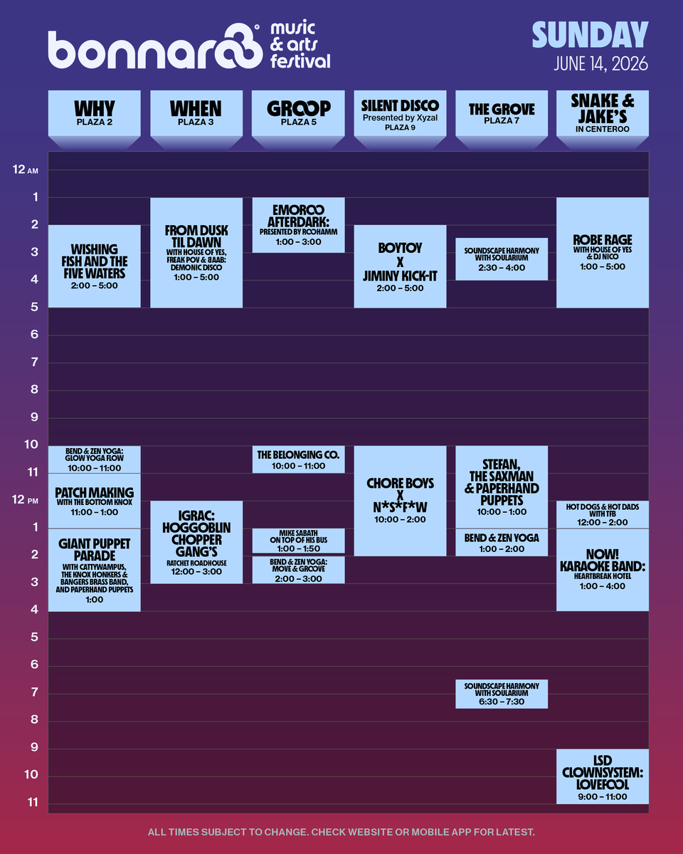 Bonnaroo tweet media