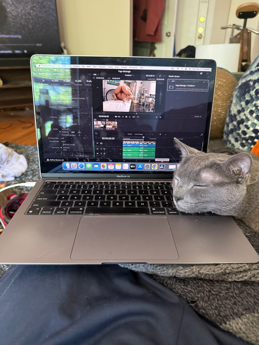 𝔻𝕚𝕝𝕗𝕪 𝔻𝕣𝕖𝕨 tweet media