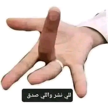 hial hady هيال هادي tweet media