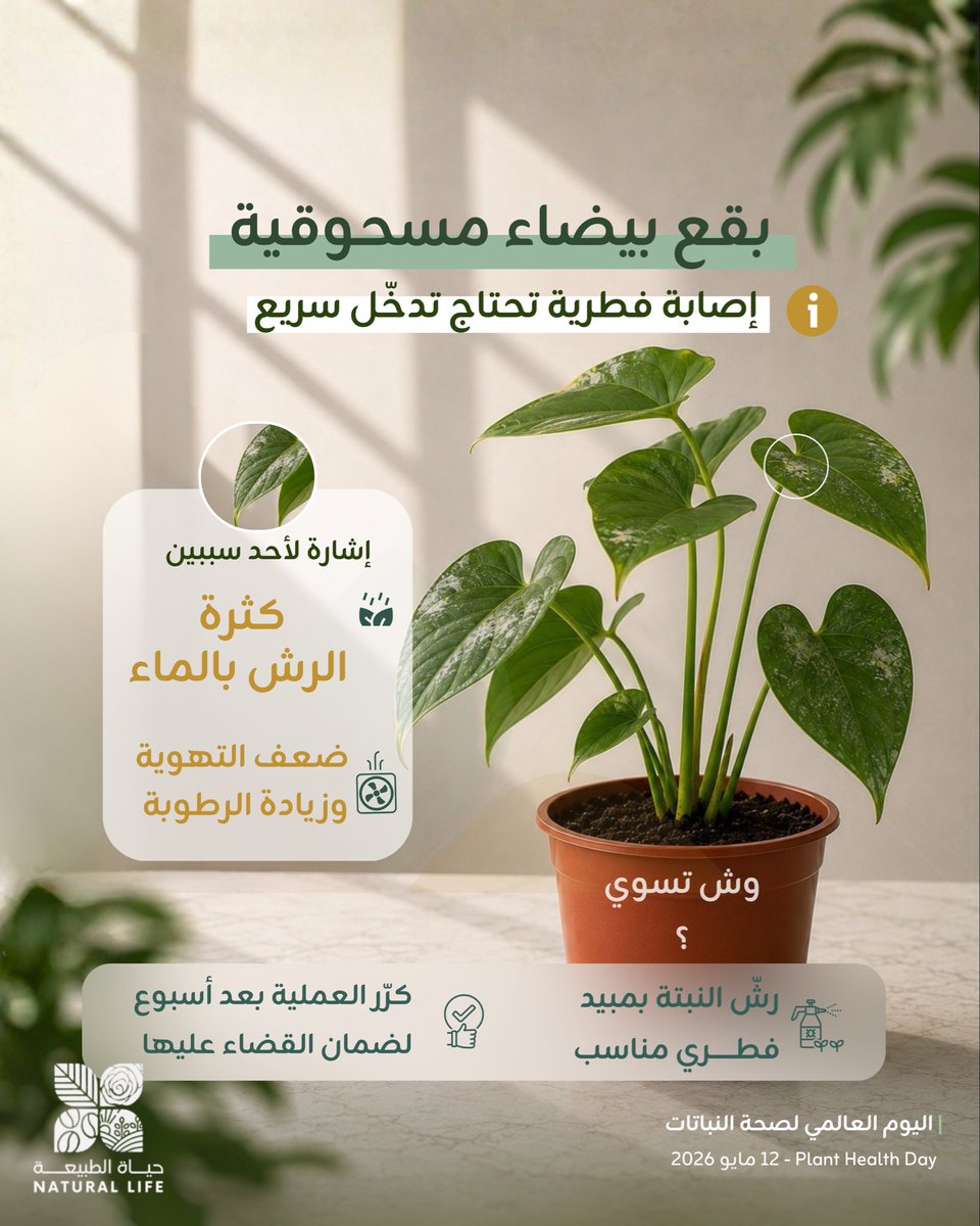 حياة الطبيعة | Natural Life tweet media