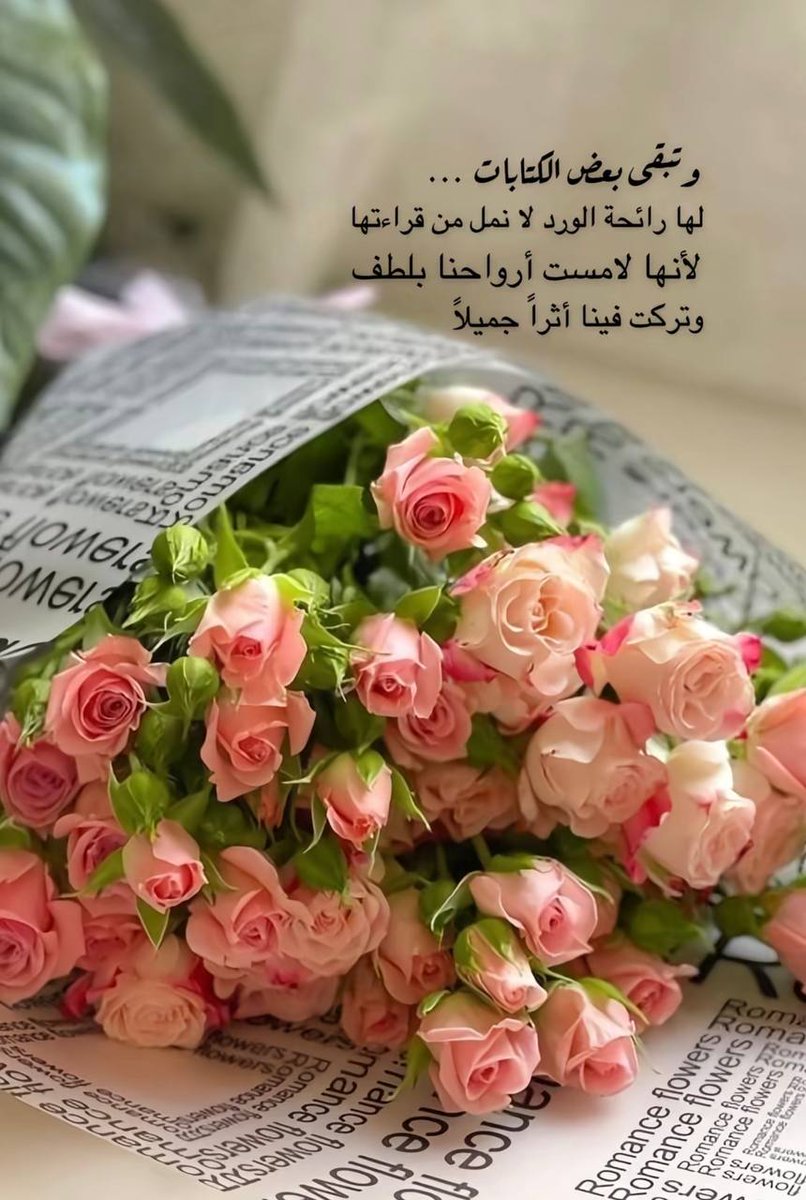 فاطمة عبدالعزيز 🇸🇦 tweet media