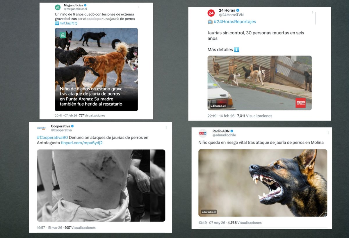 Bernardita Fuentes Sanhueza tweet media