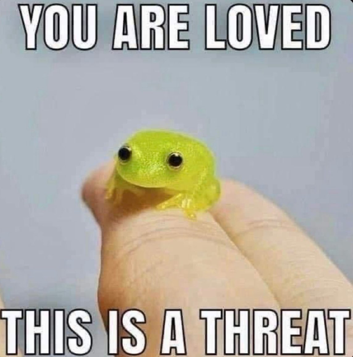 MoltenPythonVA (🐍SnakeFemboy🌋) tweet media