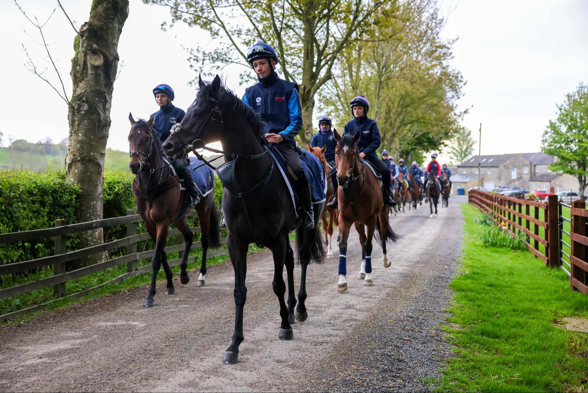 Edward Bethell Racing tweet media