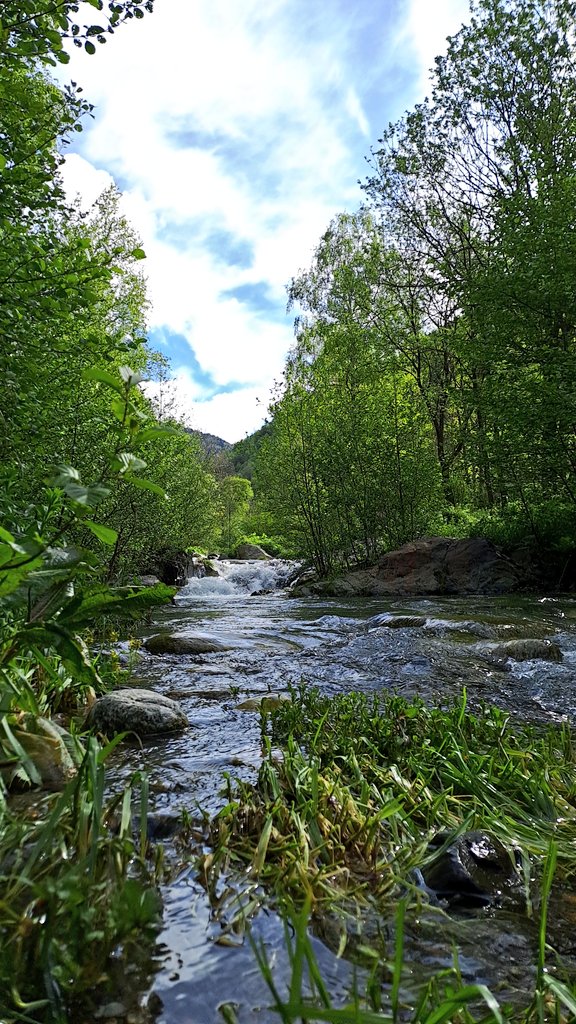 hikesbd's tweet photo. Nova caminada en família pel Ripollès.
Passem per l'ermita de Santa Maria del Catllar, la ribera del Catllar, el torrent de Pastuira...
Molta aigua i molts arbres caiguts.
#hiking https://t.co/2jXaykLAU1