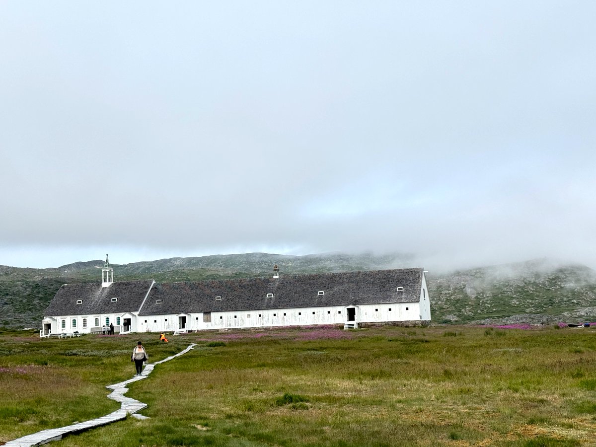 Arctic Kingdom tweet media