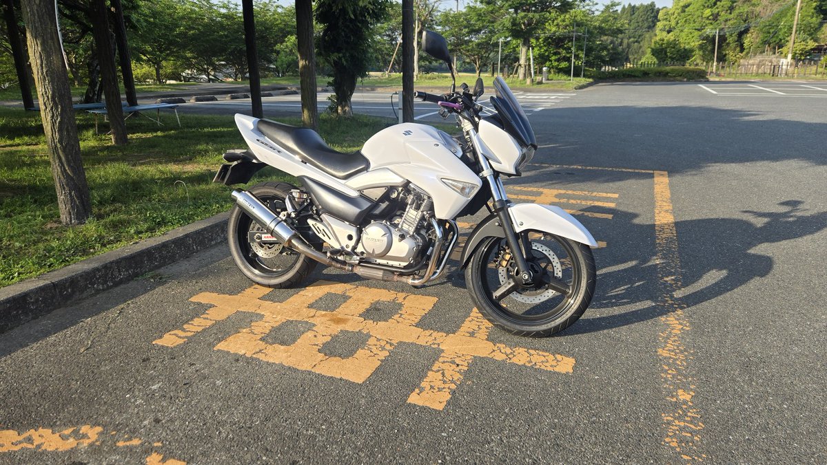 Keema_33's tweet photo. 朝のお散歩
#GSR250 https://t.co/6Dbxsn2grB