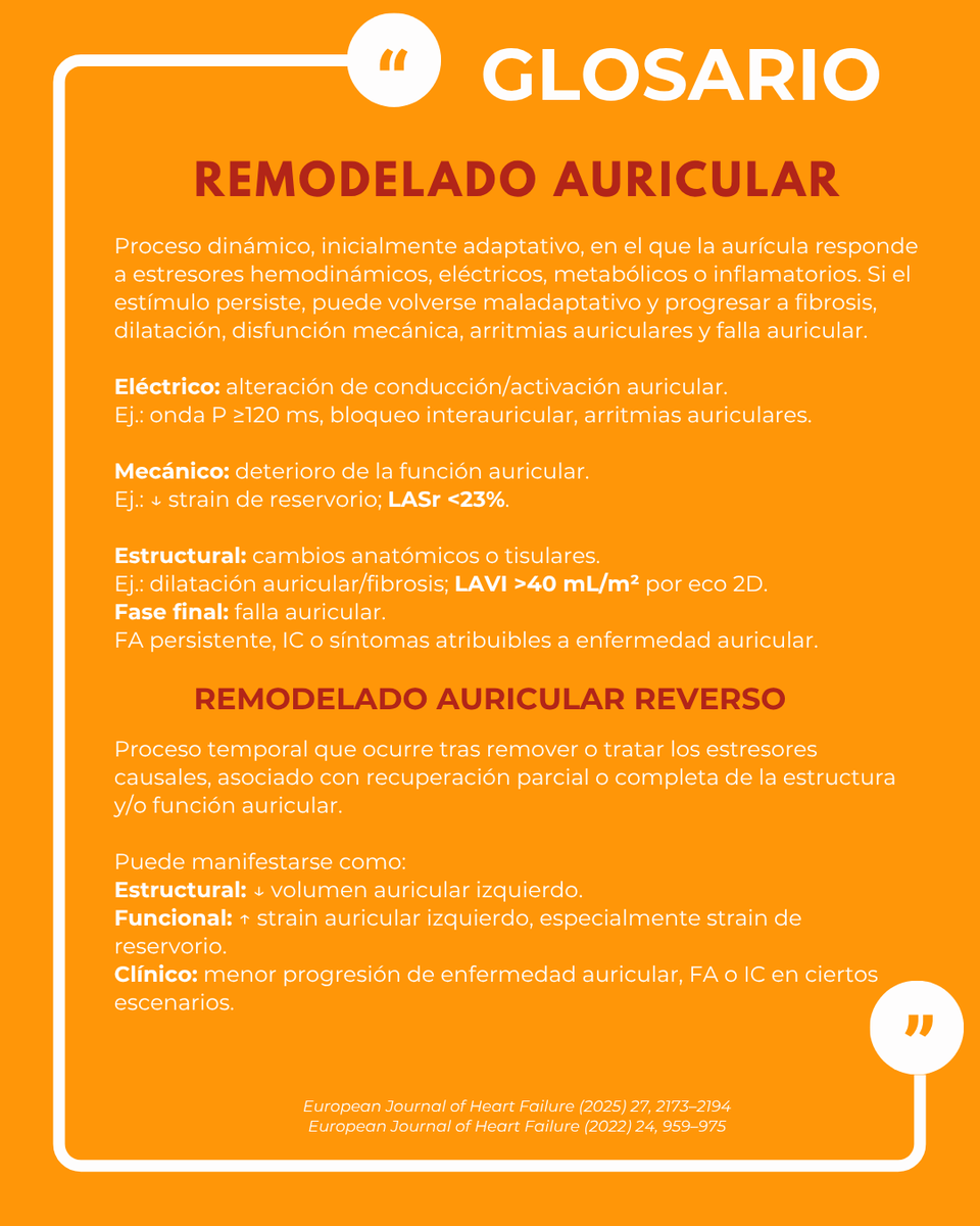 SONECOM_AC's tweet photo. 📘 Remodelado auricular
Respuesta adaptativa al estrés hemodinámico, eléctrico o inflamatorio que puede progresar a fibrosis, dilatación, arritmias y falla auricular.
🔎 Eléctrico + mecánico + estructural.
#SONECOM #Ecocardiografía #CardioImaging https://t.co/h0SBGbPsVx