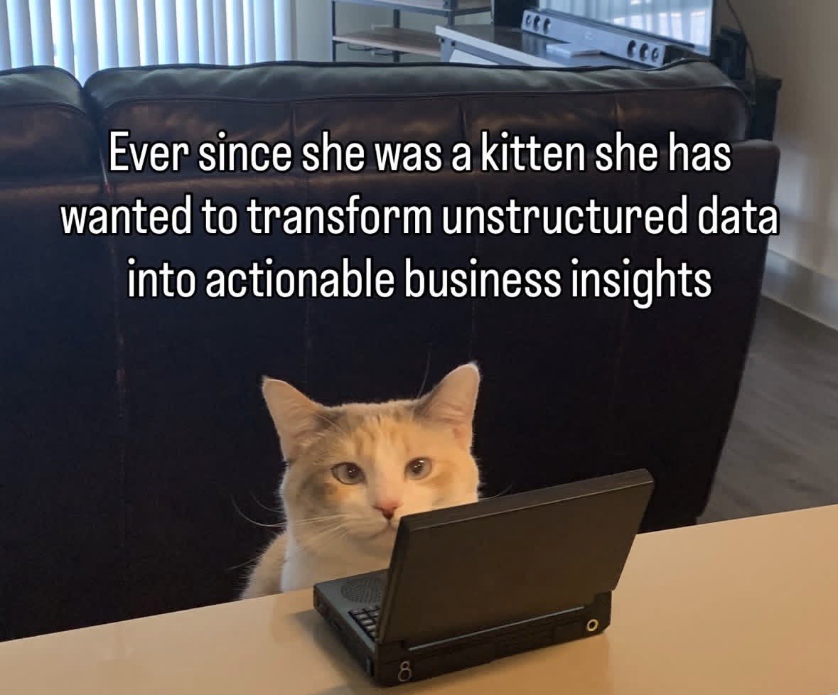 LiterallyMeCats tweet media
