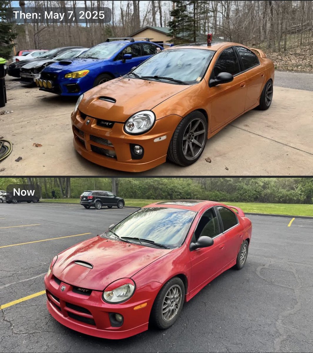 RallyRex⛰️ tweet media