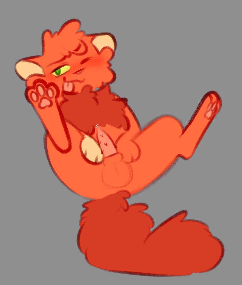 🔞💖Freckledcoat💖🔞 tweet media