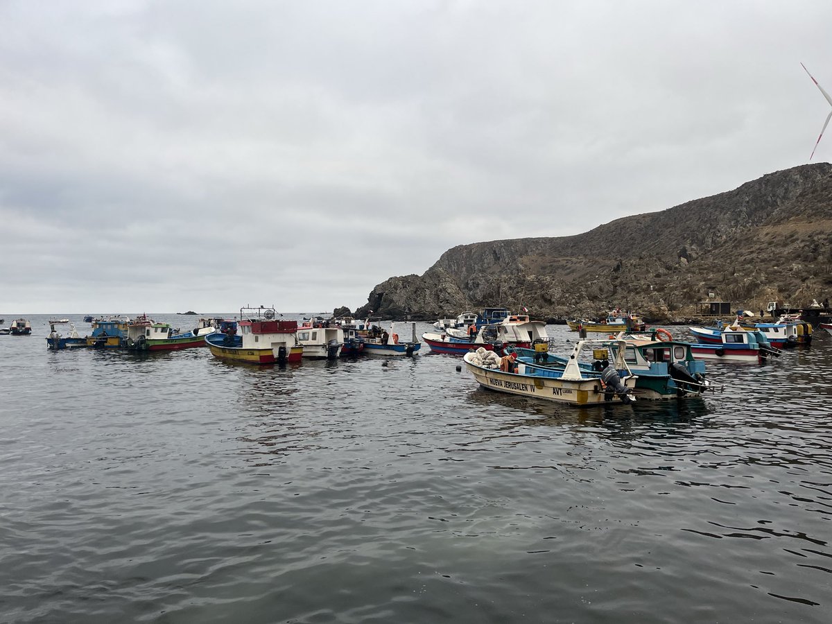 SubpescaCL's tweet photo. El subsecretario Osvaldo Urrutia estuvo en caleta Sierra, Ovalle, junto a dirigentes de la pesca artesanal para conocer los principales desafíos, recoger inquietudes del sector en torno a Ley de Caletas y profundizar en las oportunidades de desarrollo de esta caleta rural 🐟🇨🇱 https://t.co/iyZcQ6oWch