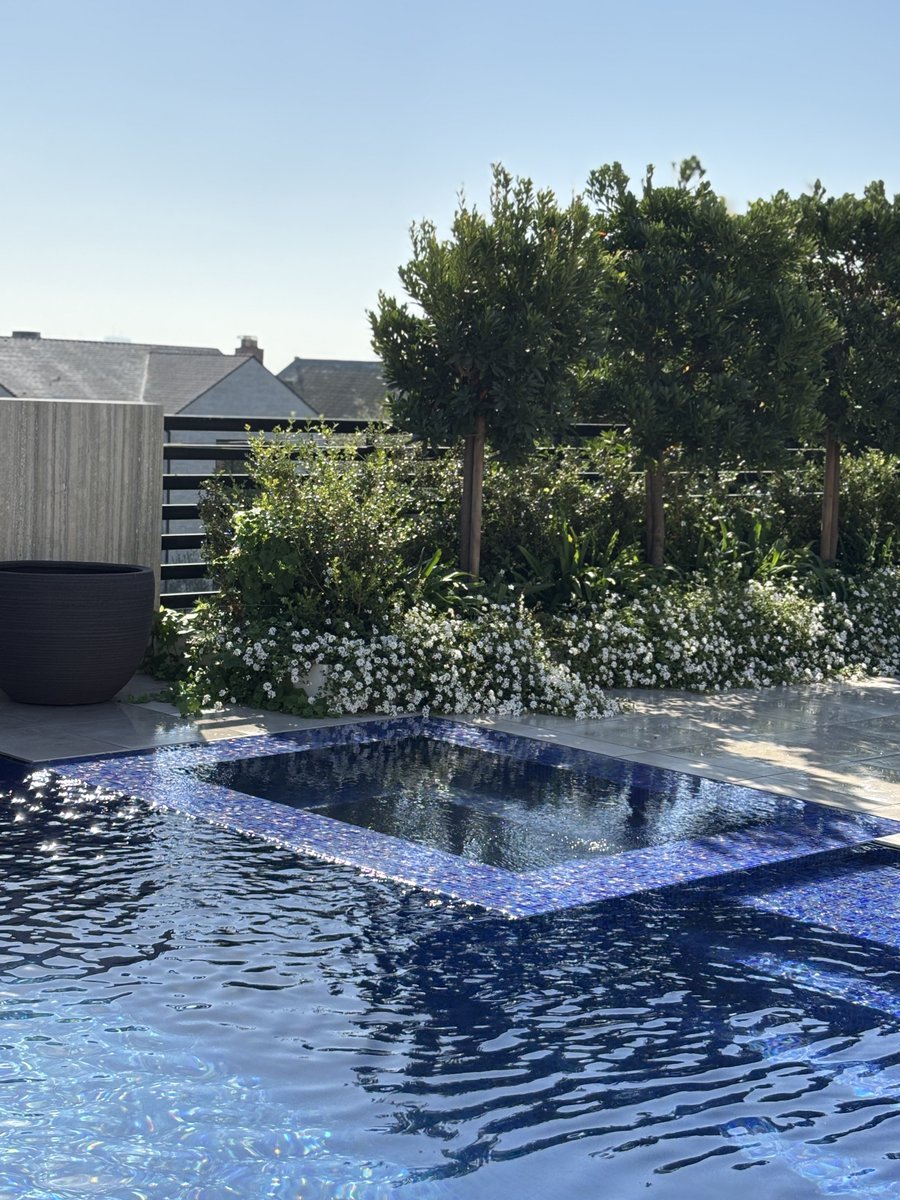 PepesPools's tweet photo. Completely flat spa built right into your pool? Yes, we can do that 😎
Integrated spas create one of the cleanest and most modern looks in pool design today. 💦 https://t.co/eRfoJGiIZJ