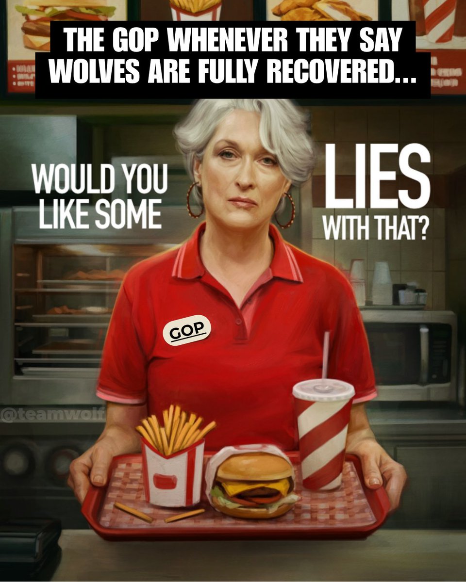 Team Wolf tweet media