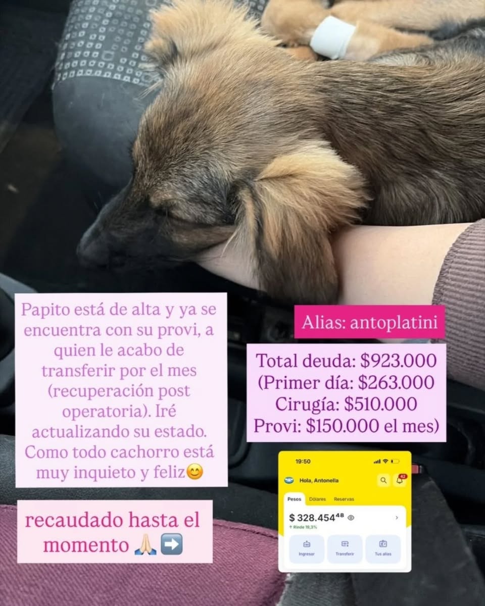 DiscasRodandoxLaVida tweet media