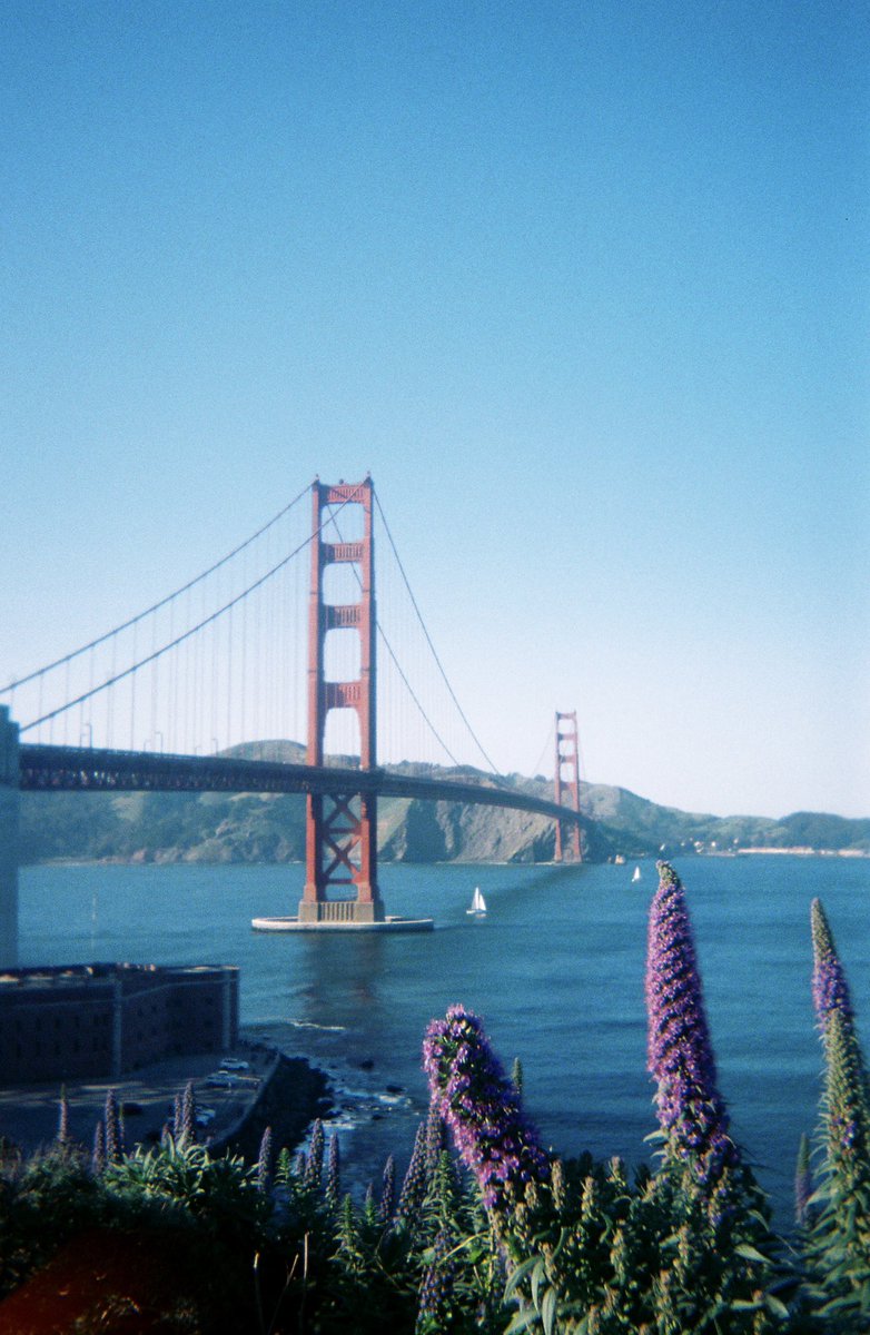 SF ON FILM ️ https://t.co/kENdL5cZXZ