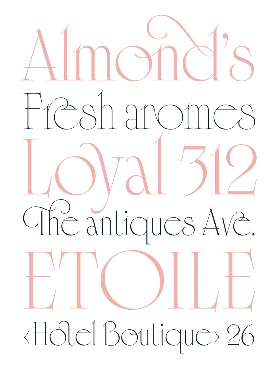 TypographerApp's tweet photo. New from Sproviero Type: Cisne, a display serif that started as an ode to Stunt Roman—Ross F. George’s 1929 Art Deco alphabet designed, in his words, ”to show off.” Visit https://t.co/HxX9LpAscK or https://t.co/dQdgTVfeDI and see if for yourself. https://t.co/CFUDSCdRuL