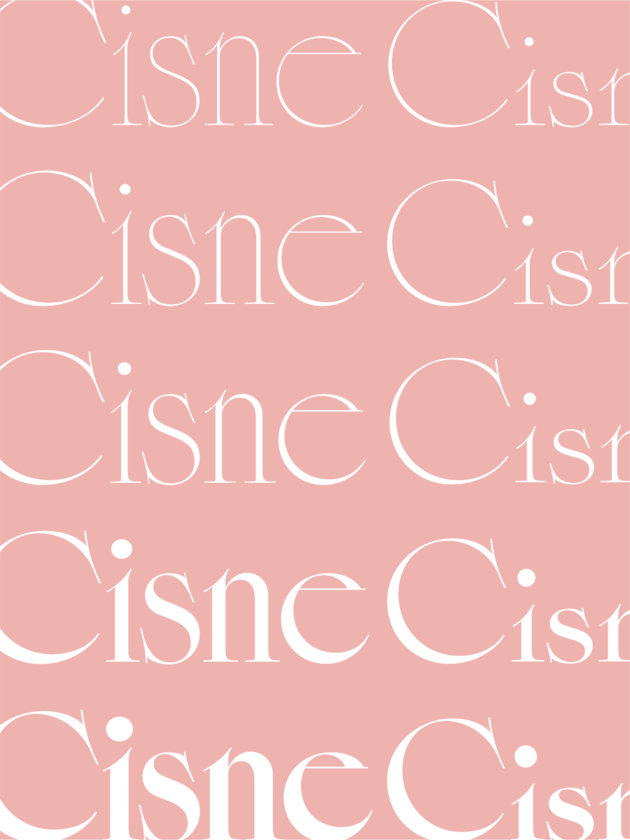 TypographerApp's tweet photo. New from Sproviero Type: Cisne, a display serif that started as an ode to Stunt Roman—Ross F. George’s 1929 Art Deco alphabet designed, in his words, ”to show off.” Visit https://t.co/HxX9LpAscK or https://t.co/dQdgTVfeDI and see if for yourself. https://t.co/CFUDSCdRuL