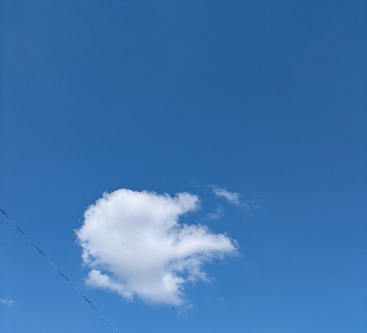 らぁめん ひろりん tweet media