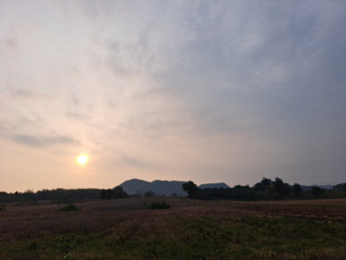 Supot Waewjapo tweet media
