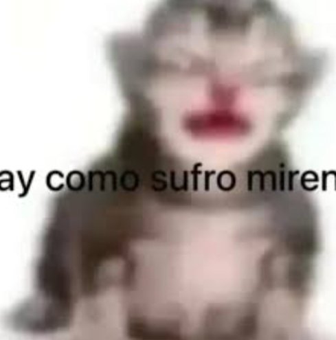 Doctor coito tweet media