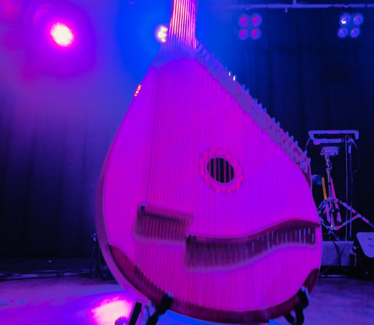 AlpinePixels's tweet photo. FULL concert: 65 strings #Bandura One accordion. Unforgettable energy. ⚡️ Relive the highlights of Bandura Fest in Switzerland 📷. From traditional Ukrainian melodies to Metallica Queen  etc  #закордоном #UkrainianMusic #Lausanne #Switzerland #Бандура https://t.co/NSdKdFe9W0 https://t.co/SnzIaL9iSH