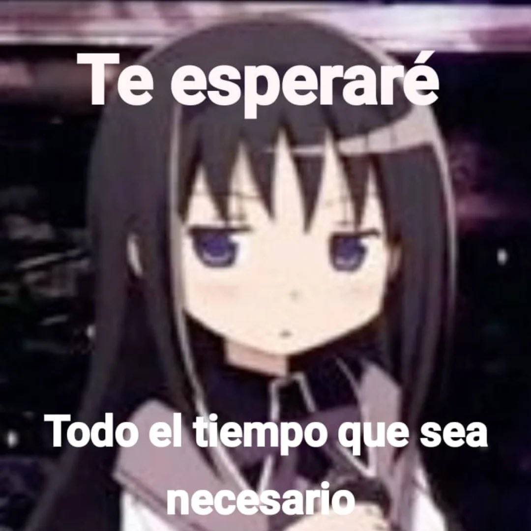 Velvet🧊🍰🏳️⚧️♀️ #MadoHomu tweet media