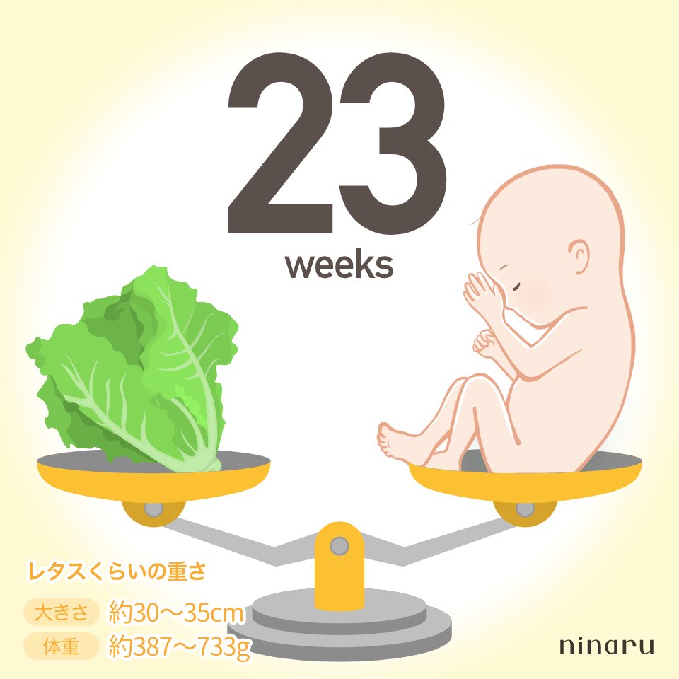 うと🐈☺︎初マタ23w🍀 tweet media