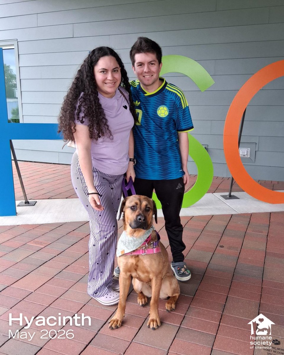 Humane Society of Charlotte tweet media