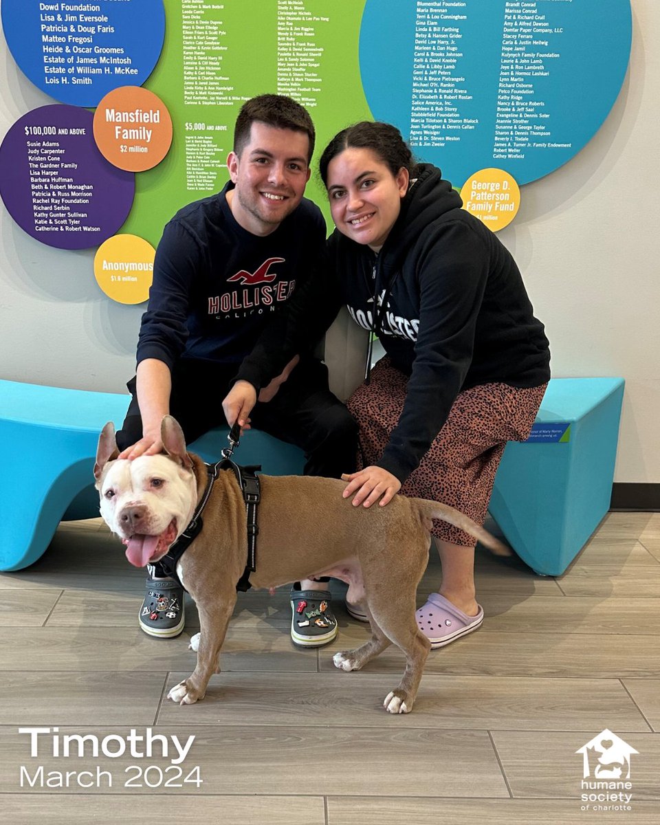 Humane Society of Charlotte tweet media