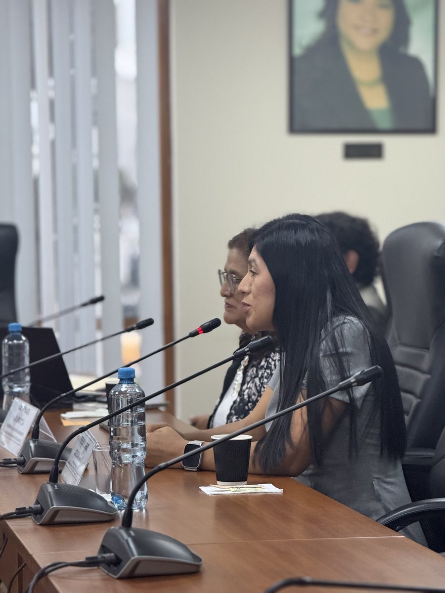 Comisión de Cultura 2025-2026 🇵🇪 tweet media