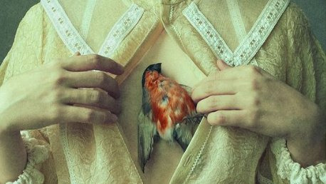 colinarmis's tweet photo. Laura Makabresku - 2018 Suspiria, dir. Luca Guadagnino - 2018  Needle Lace Pattern - 17th Century  Laura Makabresku, Heartbeat - 2021 https://t.co/HFkTaCNF6z
