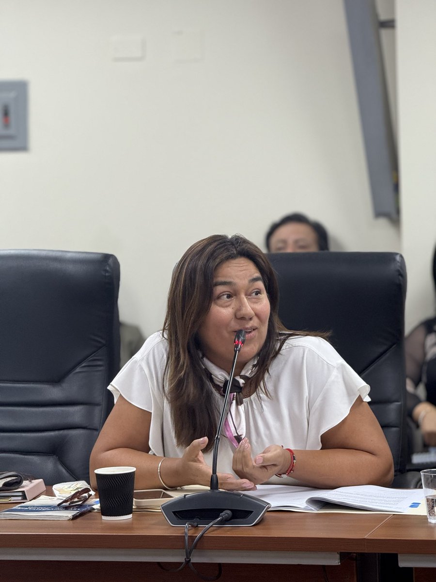 Comisión de Cultura 2025-2026 🇵🇪 tweet media