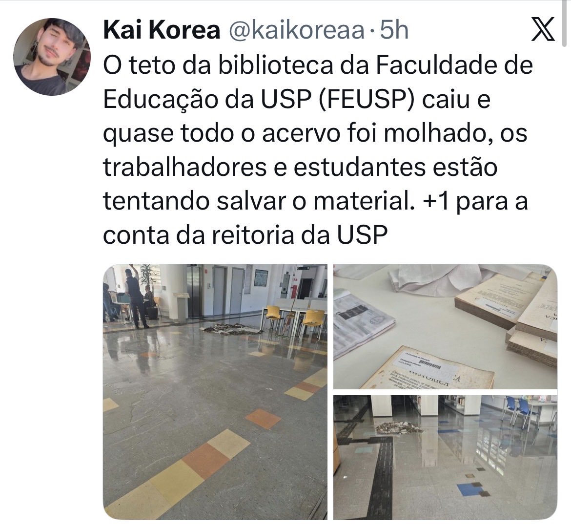 Mariana Resende tweet media