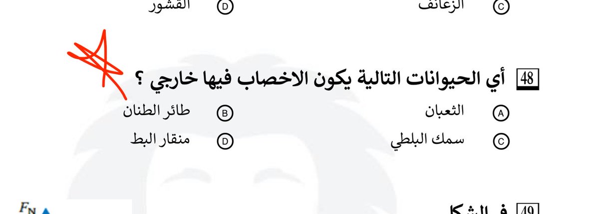 Eng.Loly 🐾 tweet media