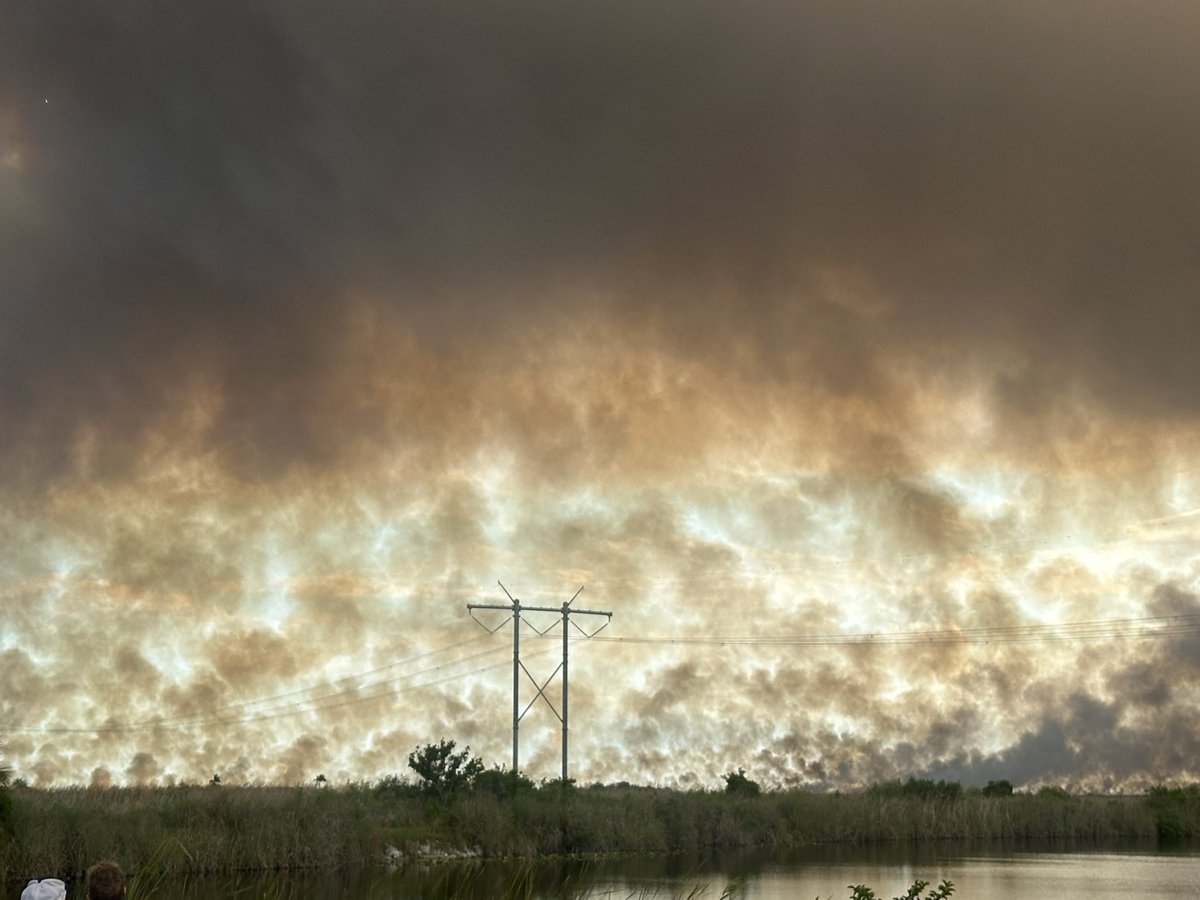 Irene Sans tweet media