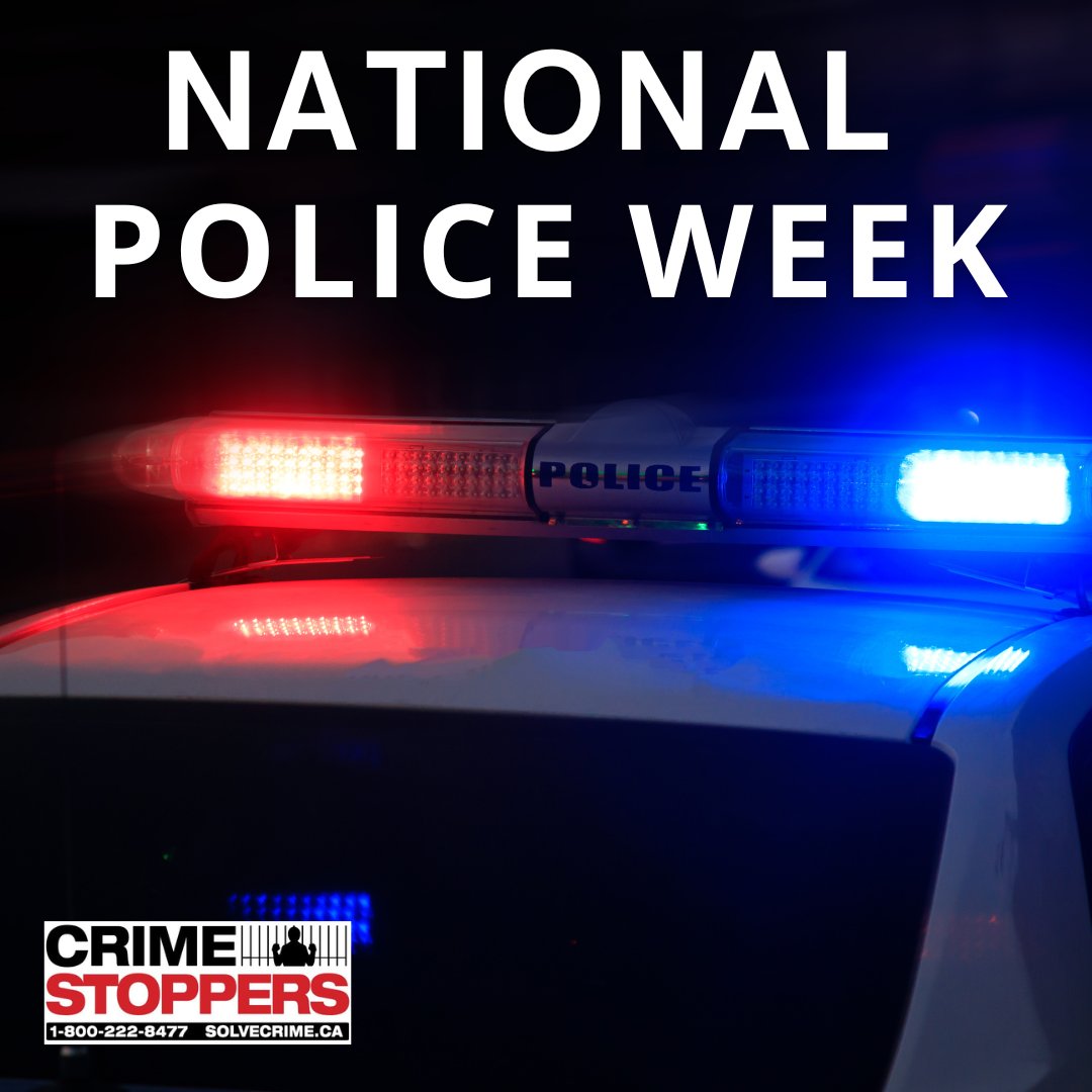 Crime Stoppers tweet media